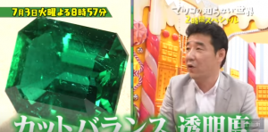 清水雅弘(エメラルドハンター)のwikiプロフ！購入方法や値段は？ジェムハンターとは？【マツコの知らない世界】