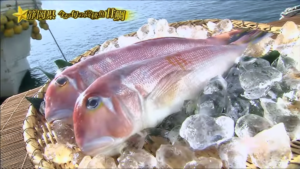 青空レストラン静岡焼津の甘鯛(アマダイ)の通販(お取り寄せ)購入方法！レシピや値段は？【静岡焼津市】