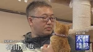 梅田達也(保護猫カフェ)ねこかつアクセス(場所)や口コミ評判や料金！wiki経歴や年収は？【情報大陸】