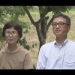 人生の楽園の香川県木村農園カフェ＆ジャム工房(田園の週末カフェ)場所やアクセス！口コミ評判やおすすめメニューや通販(お取り寄せ)は？【東かがわ市】